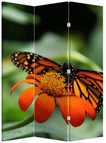 Parawan - Motyl na kwiatku (126x170 cm)