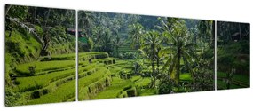 Obraz tarasów ryżowych Tegalalang, Bali (170x50 cm)