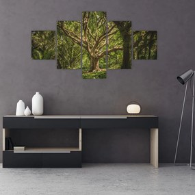 Obraz drzewa (125x70 cm)