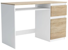 Biurko komputerowe młodzieżowe szkolne 120 cm REMI1 Biały/Dąb Sonoma