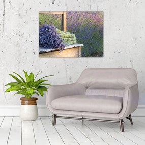 Obraz na szkle - Pęczki lawendy (70x50 cm)