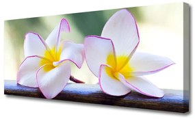 Obraz Canvas Kwiaty Płatki Plumeria