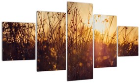 Obraz pola o zachodzie słońca (125x70 cm)