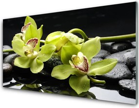 Szkło nad Blatem Egzotyczny Kwiat Orchidei