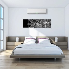 Obraz - Liście z kroplami (170x50 cm)