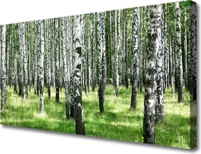 Obraz canvas Leśna Gęstwina i Trawy