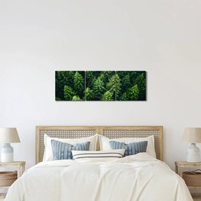 Obraz - Las (z zegarem) (90x30 cm)