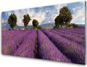 Szkło do Kuchni na Ścianę Sielska Polana z Drzewami