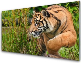 Panel nad blat kuchenny Majestatyczny Tygrys w Gęstwinie