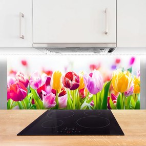 Szkło nad Blatem Tulipany W Porannym Słońcu