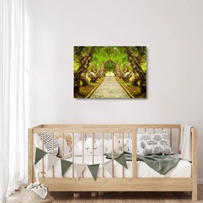 Obraz na szkle - Żywy tunel plumerii (70x50 cm)