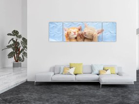 Obraz - Śpiące kocięta (170x50 cm)