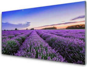 Panel Kuchenny Letnia Łąka Pełna Kwiatów