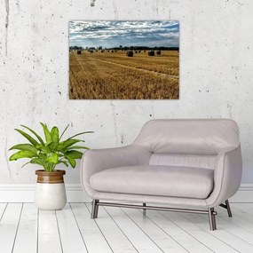 Obraz zebranego pola zboża (70x50 cm)