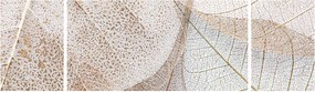 Obraz - Beżowe liście (170x50 cm)