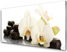 Panel Szklany do Kuchni Aksamitna Biała Orchidea