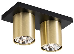 Nowoczesny Plafon / Reflektorek / Spot / Spotow / Lampy sufitowe czarny ze złotem 2-punktowy - Tubo Nowoczesny Oswietlenie wewnetrzne
