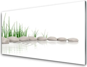Panel Kuchenny Kamienie W Zielonej Trawie