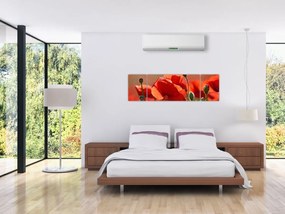 Obraz maków (170x50 cm)
