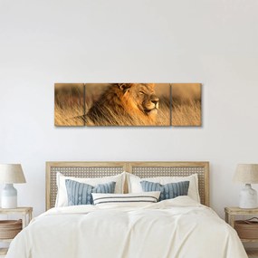 Obraz - Park Narodowy Etosha (170x50 cm)