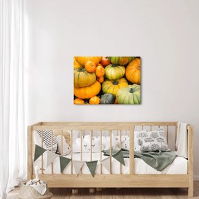 Obraz - Jesienna dynia (70x50 cm)