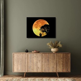 Obraz na szkle - cienie w świetle księżyca (70x50 cm)