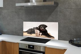 Szklany Panel Odpoczywająca Para Psów