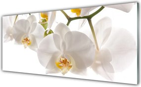 Panel Szklany Naturalne Piękno Kwiatów