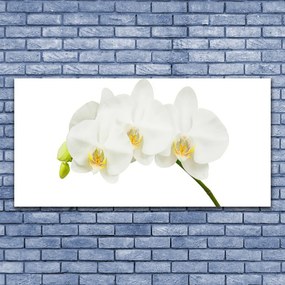 Obraz canvas Świeże Pędy Kwitnącej Orchidei