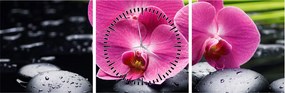 Obraz - Różowe orchidee z liściem palmy (z zegarem) (90x30 cm)