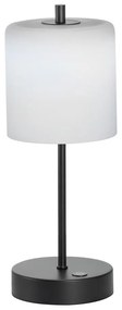 Czarno-biała lampa stołowa LED ze ściemniaczem (wysokość 34,5 cm) Riva – Fischer &amp; Honsel