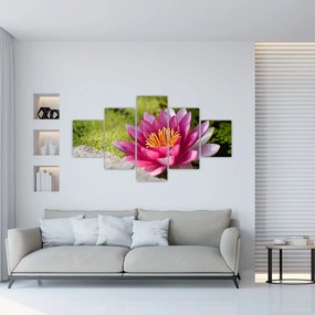 Obraz - Lilia wodna (125x70 cm)