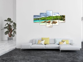 Obraz - Takamaka, Seszele (125x70 cm)