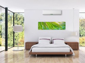 Obraz - Liście palmowe (170x50 cm)