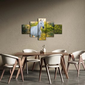 Obraz białego konia na łące (125x70 cm)