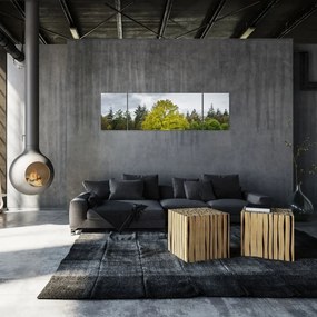 Obraz zielonego drzewa na środku pola (170x50 cm)