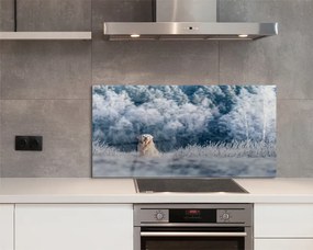 Szklany Panel Pies w Zimowych Górach