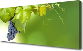 Zdjęcie na płótnie Dojrzałe Winogrona w Winnicy