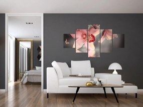 Obraz - Kwiaty i motyl (125x70 cm)