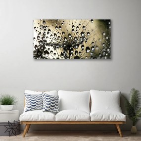 Obraz na płótnie Lekkość Mniszka Lekarskiego