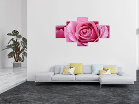 Obraz róży (125x70 cm)
