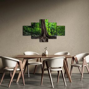 Obraz - Stare drzewo z korzeniami (125x70 cm)