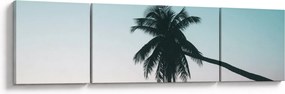 Obraz - Palma na Bali (170x50 cm)