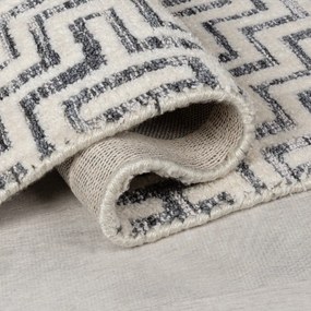 Szary dywan 200x300 cm Rhett – Flair Rugs