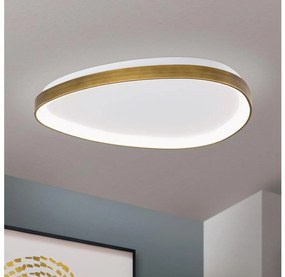 Orion DL 7-696/65 - LED Plafon CHARLIE LED/48W/230V śr. 65 cm złoty