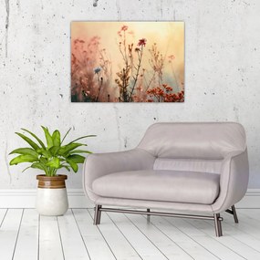 Obraz - Dzikie kwiaty (70x50 cm)