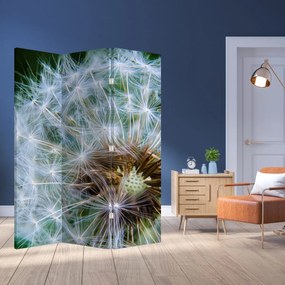 Parawan - Dmuchawiec (126x170 cm)