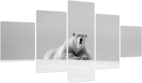 Obraz - Niedźwiedź polarny (125x70 cm)