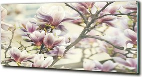 Foto obraz szkło hartowane Magnolia
