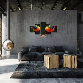 Obraz papug (125x70 cm)